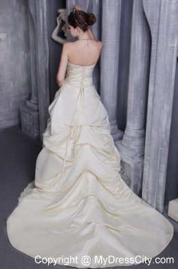 Special Champagne Strapless Court Train A-line Wedding Dress with Appliques