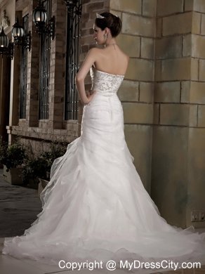 Strapless Taffeta and Organza Appliques A-line Court Train Bridal Gown