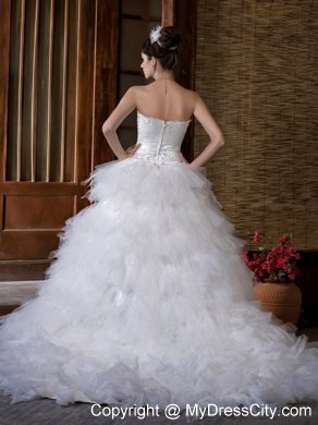 Sexy A-line Sweetheart Appliqued Organza Wedding Dress with Chapel Train