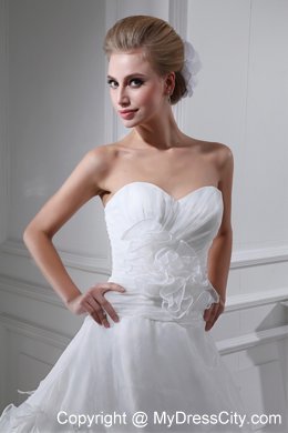 Graceful Appliques and Ruching Sweetheart Wedding Gown Dress on Sale