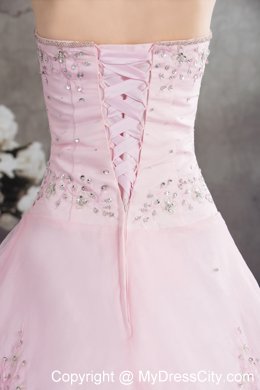 Unique Pink Princess Sweetheart Organza Appliques Sheathy Bridal Dresses
