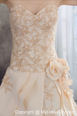 Champagne Sweetheart A-line Appliques Flowery Wedding Dress under 250
