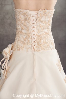 Champagne Sweetheart A-line Appliques Flowery Wedding Dress under 250