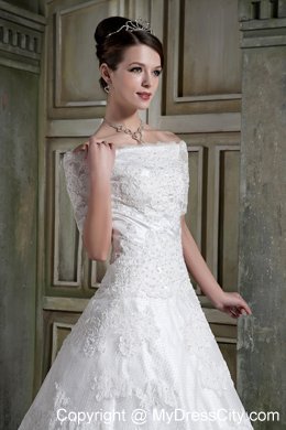 Short Sleeves Off The Shoulder Chapel Train Lace Wedding Dress