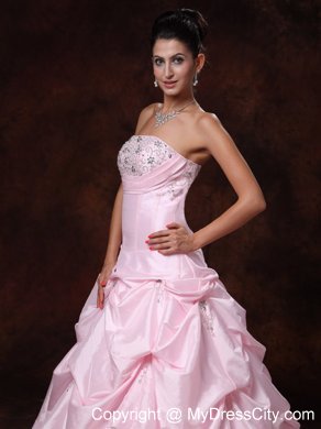 Pick-ups Strapless A-Line Chapel Train Wedding Dress in Pink