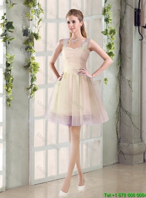 2016 Fall New A Line Straps Dama Dresses