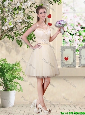 Perfect V Neck Appliques and Belt Dama  Dresses in Champagne
