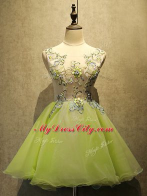 Graceful Yellow Green Scoop Lace Up Embroidery Homecoming Dress Sleeveless