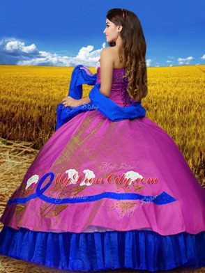 Multi-color Sleeveless Embroidery Floor Length Quince Ball Gowns