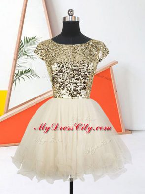A-line Evening Dress Champagne Scoop Organza Short Sleeves Mini Length Lace Up