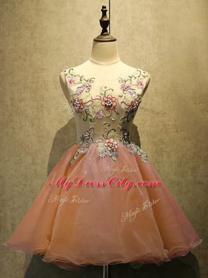 Dynamic Mini Length A-line Sleeveless Rust Red Prom Party Dress Lace Up