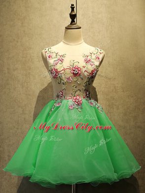 Fashion Green A-line Scoop Sleeveless Organza Mini Length Lace Up Embroidery Prom Party Dress