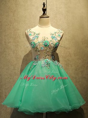 Modern Sleeveless Organza Mini Length Lace Up Prom Evening Gown in Green with Embroidery