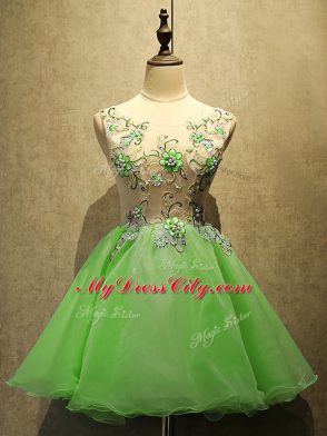 Glittering Sleeveless Organza Lace Up Prom Party Dress for Prom and Party