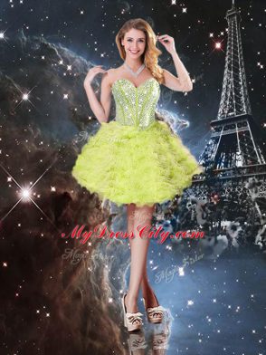 Lovely Sleeveless Lace Up Floor Length Beading and Ruffles Quinceanera Dress