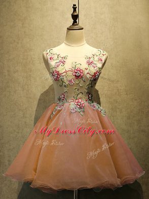 Sleeveless Embroidery Lace Up Prom Dresses