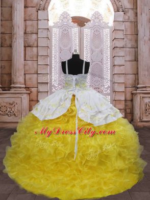 Excellent Ball Gowns Sleeveless Gold Juniors Party Dress Brush Train Lace Up
