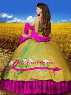 Unique Multi-color Taffeta Lace Up Quinceanera Dress Sleeveless Floor Length Embroidery