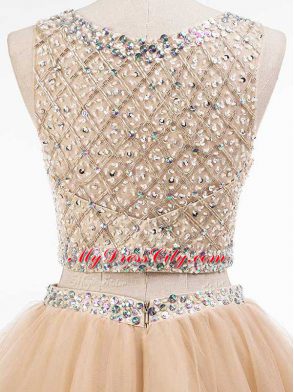Champagne Sleeveless Mini Length Beading Side Zipper Prom Party Dress