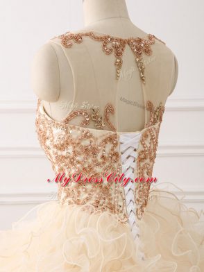 Organza Sleeveless Sweet 16 Dress Sweep Train and Beading and Ruffles