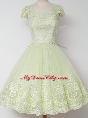 Gorgeous Tulle Cap Sleeves Knee Length Quinceanera Court of Honor Dress and Lace