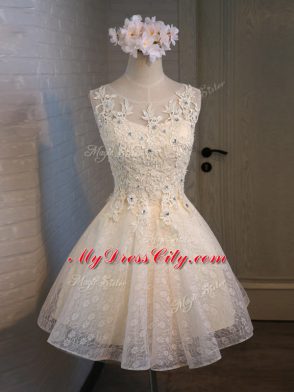 Affordable Champagne Scoop Lace Up Lace and Appliques and Belt Sleeveless