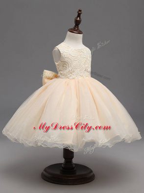 Classical Champagne Sleeveless Organza Backless Flower Girl Dress for Wedding Party