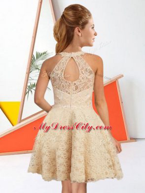 Knee Length Champagne Wedding Guest Dresses Halter Top Sleeveless Zipper