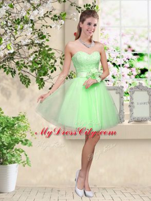 Hot Selling Lace and Belt Quinceanera Court Dresses Lace Up Sleeveless Knee Length
