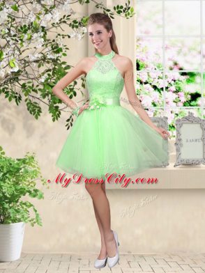 Hot Selling Lace and Belt Quinceanera Court Dresses Lace Up Sleeveless Knee Length