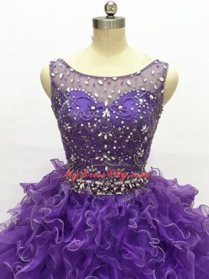 Fashion Organza Sleeveless Floor Length Quince Ball Gowns and Beading and Ruffles