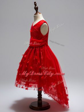 Wine Red V-neck Neckline Appliques Party Dress for Toddlers Sleeveless Zipper