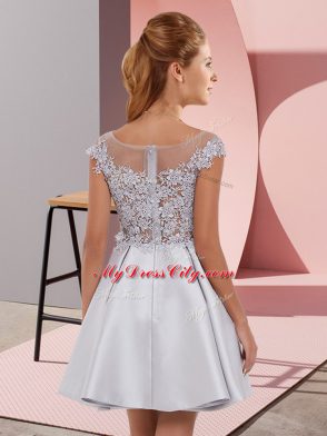 Custom Fit Mini Length Zipper Dama Dress for Quinceanera Silver for Prom and Party with Lace