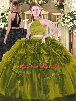 Deluxe Ball Gowns Sweet 16 Quinceanera Dress Olive Green Halter Top Organza Sleeveless Floor Length Backless