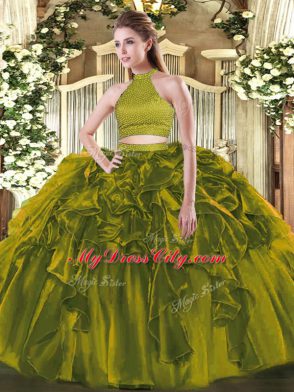 Deluxe Ball Gowns Sweet 16 Quinceanera Dress Olive Green Halter Top Organza Sleeveless Floor Length Backless