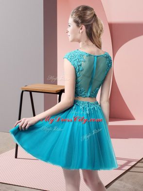 Fabulous Tulle Sleeveless Mini Length and Appliques