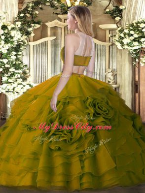 Floor Length Brown Ball Gown Prom Dress High-neck Sleeveless Backless