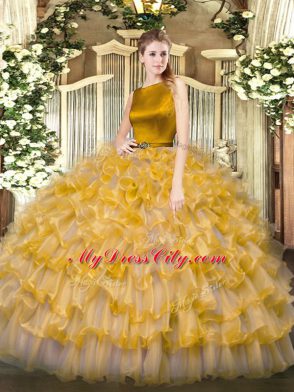 Scoop Sleeveless Clasp Handle 15 Quinceanera Dress Gold Organza