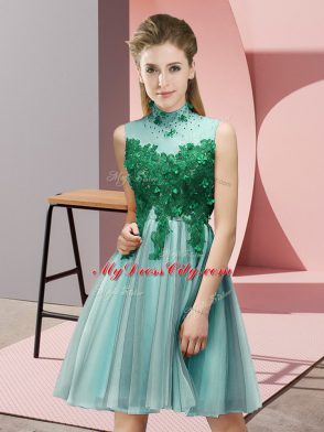 Light Blue Sleeveless Appliques Knee Length Quinceanera Dama Dress