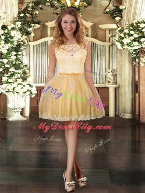 Best Selling Scoop Sleeveless Tulle 15 Quinceanera Dress Lace and Appliques Clasp Handle