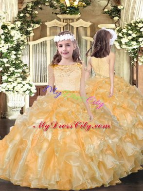 Fabulous Organza Sleeveless Floor Length 15th Birthday Dress and Lace and Ruffles