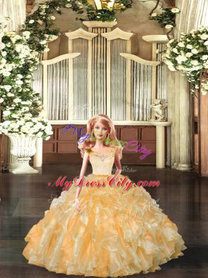 Fabulous Organza Sleeveless Floor Length 15th Birthday Dress and Lace and Ruffles