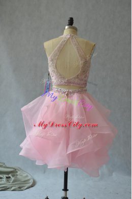 Baby Pink Sleeveless Organza Backless Dress for Prom for Prom and Party