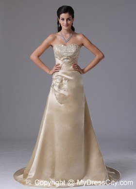 Appliques Bodice Champagne A-line for Celebrity Dress Brush Train
