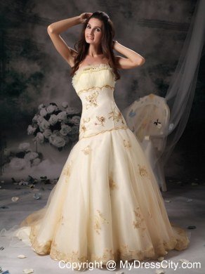 Embroidery A-Line Celebrity Dress Strapless Organza Brush Train Champagne