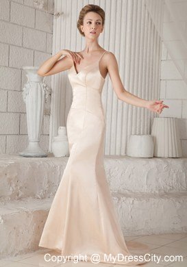Spaghetti Straps Champagne Celebrity Dresses with Brush Train