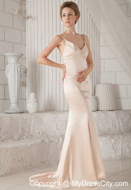 Spaghetti Straps Champagne Celebrity Dresses with Brush Train