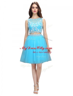 Scoop Baby Blue Sleeveless Tulle Backless Prom Evening Gown for Prom and Party