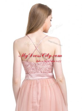 Column/Sheath Prom Party Dress Pink Spaghetti Straps Tulle Sleeveless Floor Length Zipper