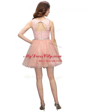 New Style Scoop Sleeveless Zipper Prom Gown Pink Organza